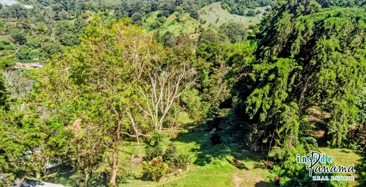Residential Lot for sale in Palo Alto Boquete Chiriqui Panama