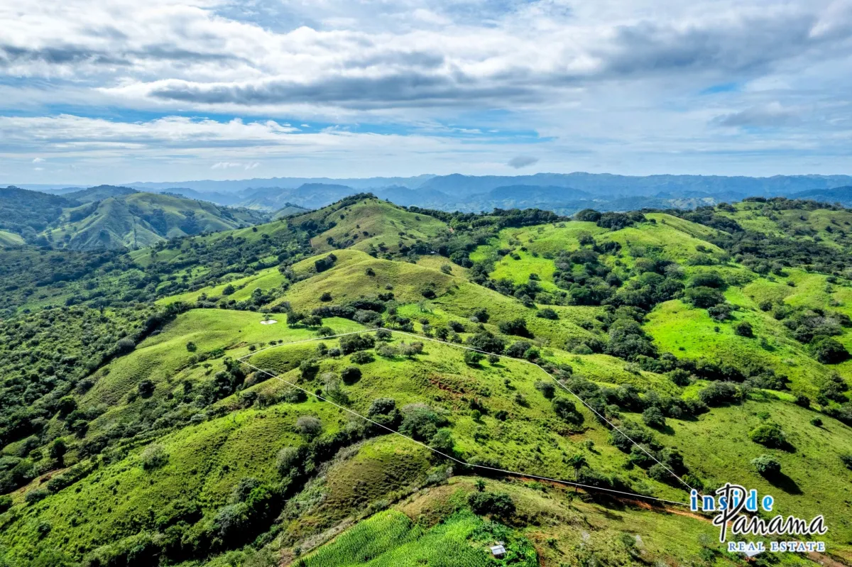 7 Ha Farm for sale  in Las Tablas Los Santos Panama