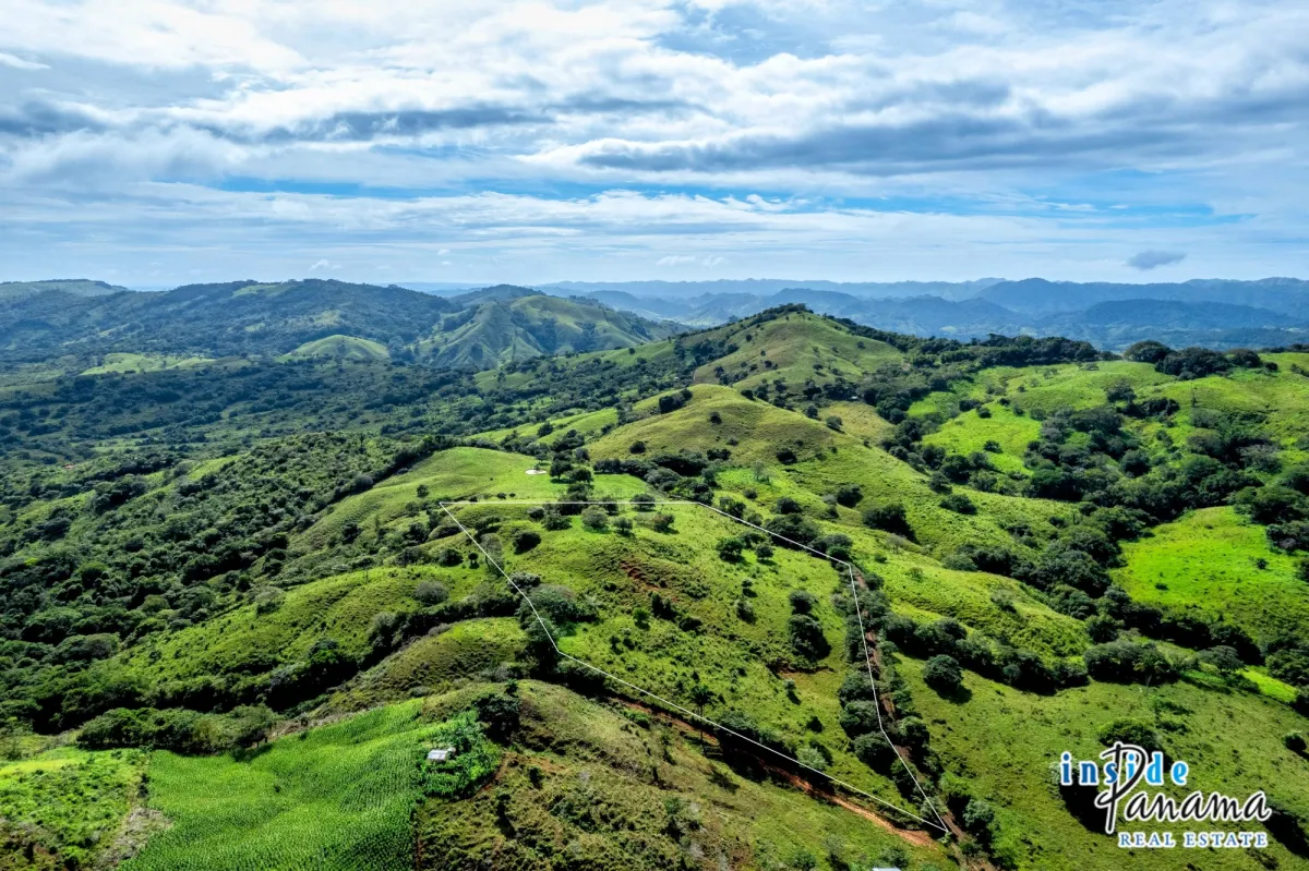 7 Ha Farm for sale  in Las Tablas Los Santos Panama