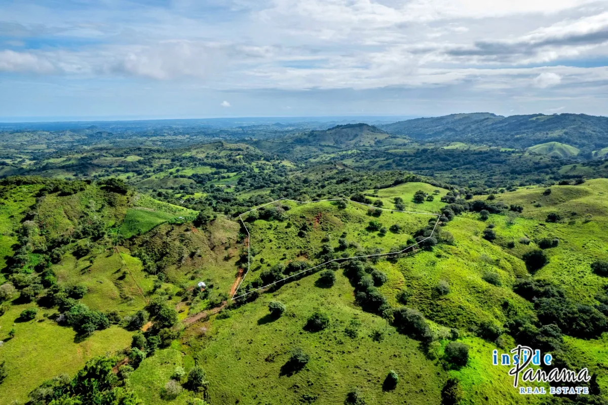 7 Ha Farm for sale  in Las Tablas Los Santos Panama