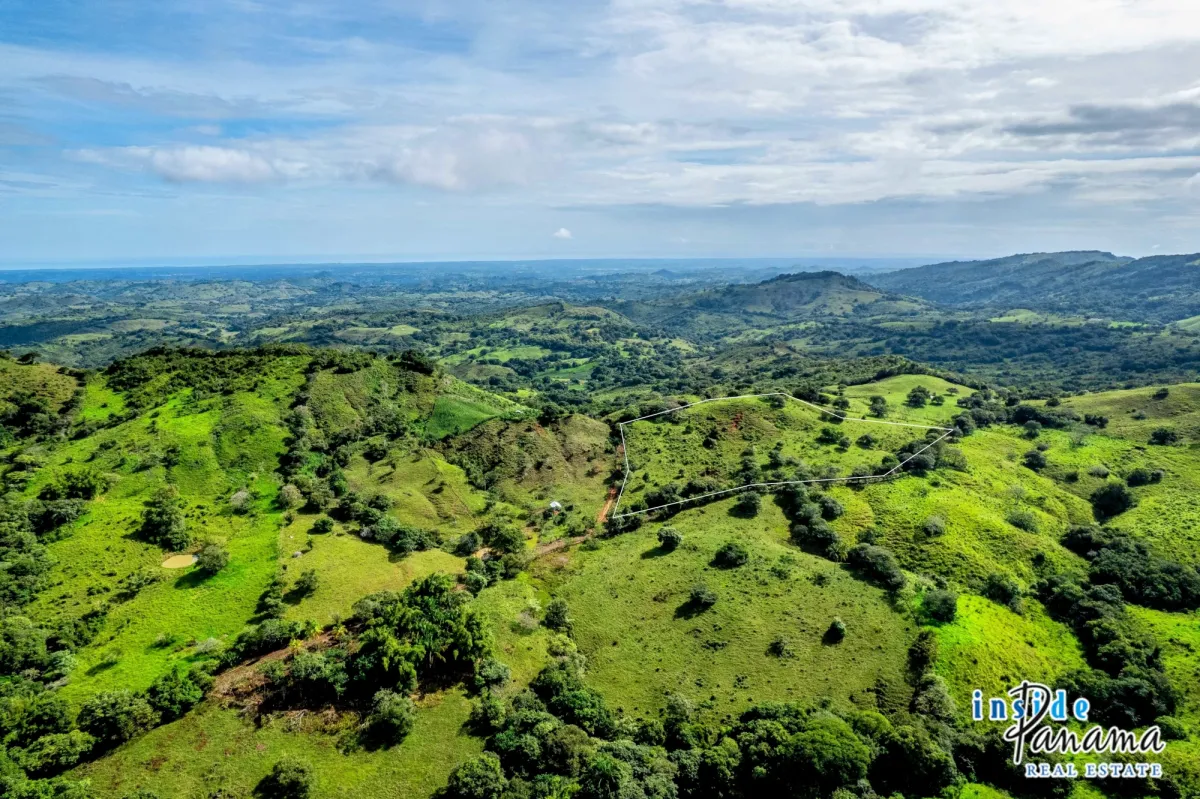 7 Ha Farm for sale  in Las Tablas Los Santos Panama