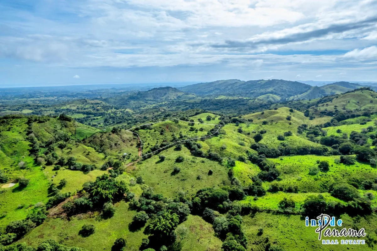 7 Ha Farm for sale  in Las Tablas Los Santos Panama