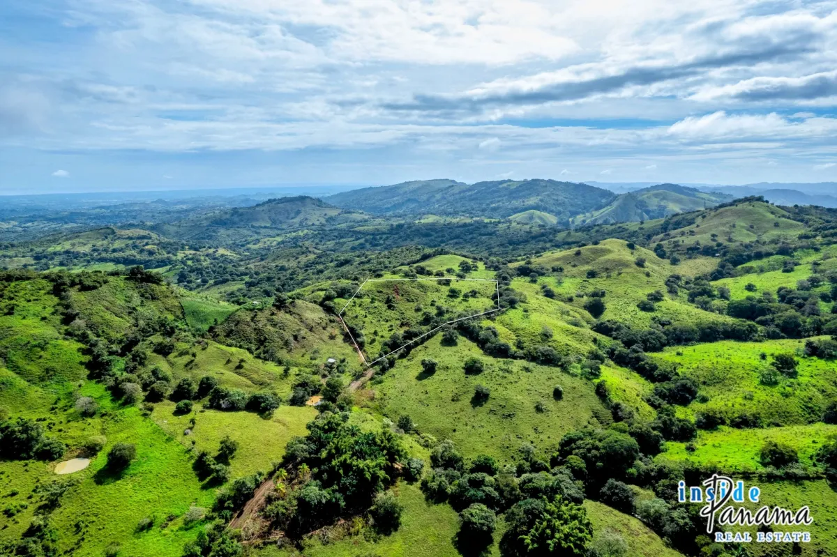 7 Ha Farm for sale  in Las Tablas Los Santos Panama