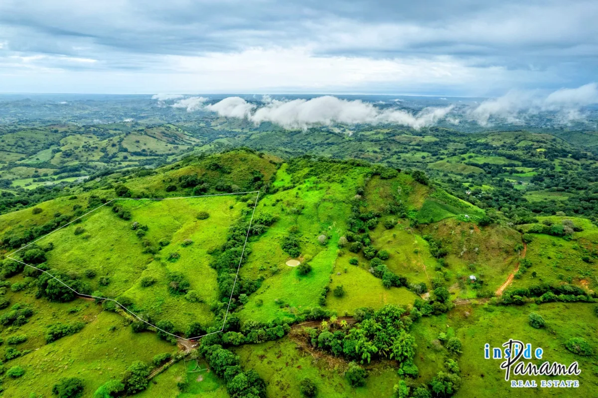 7 Ha Farm for sale  in Las Tablas Los Santos Panama