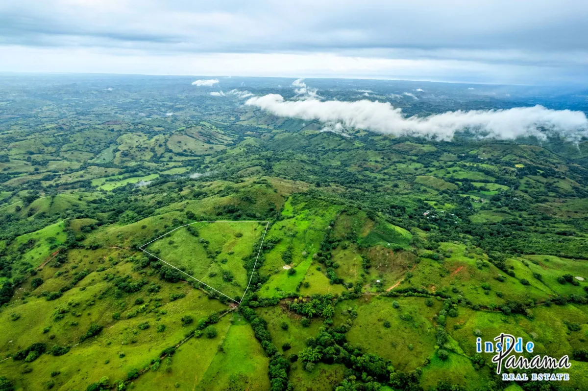 7 Ha Farm for sale  in Las Tablas Los Santos Panama