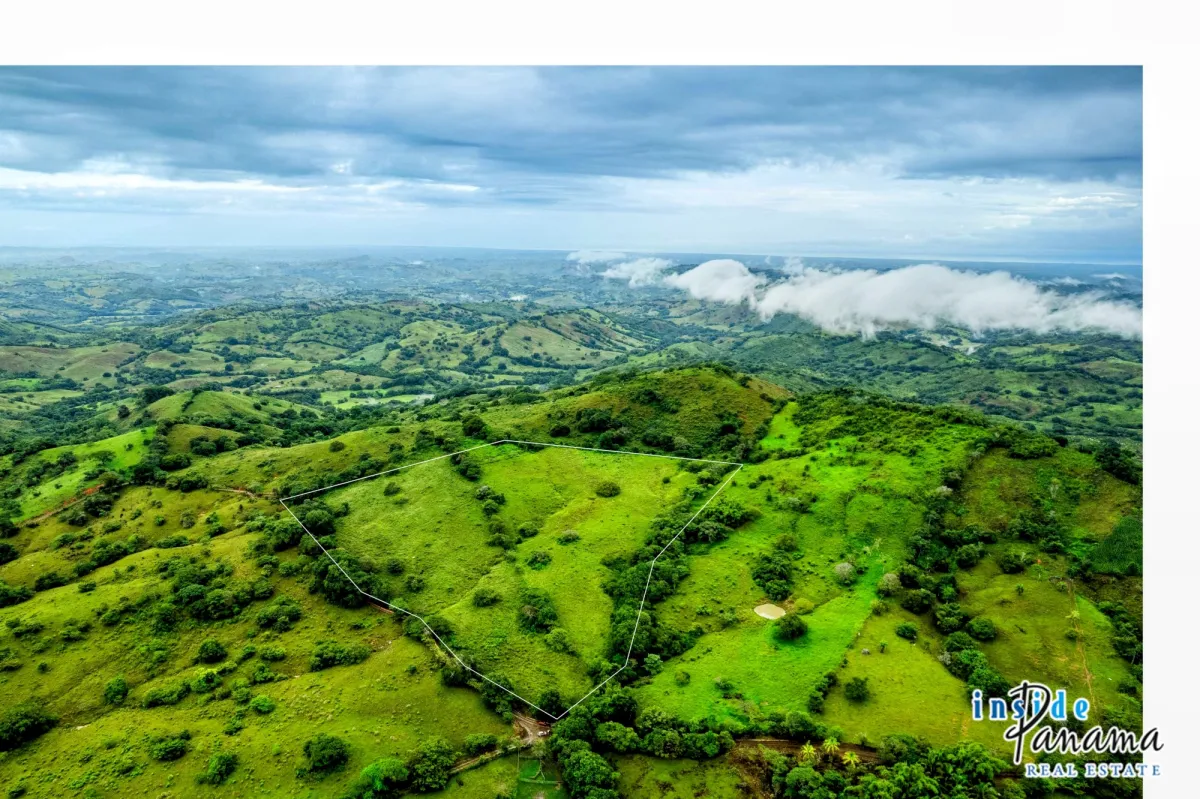 7 Ha Farm for sale  in Las Tablas Los Santos Panama
