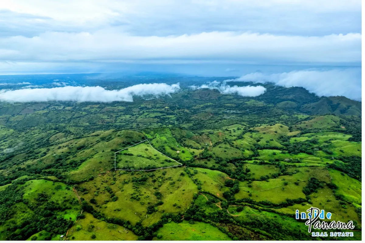 7 Ha Farm for sale  in Las Tablas Los Santos Panama