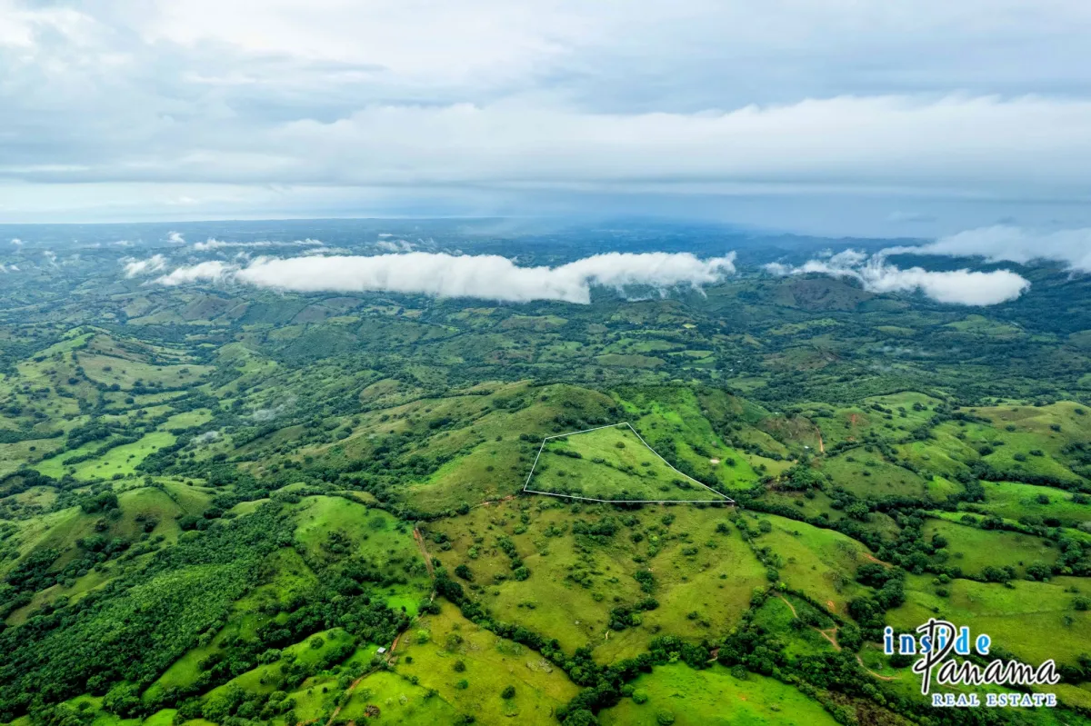7 Ha Farm for sale  in Las Tablas Los Santos Panama