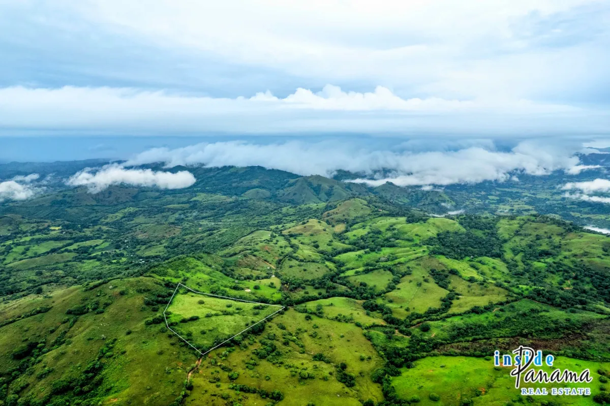 7 Ha Farm for sale  in Las Tablas Los Santos Panama