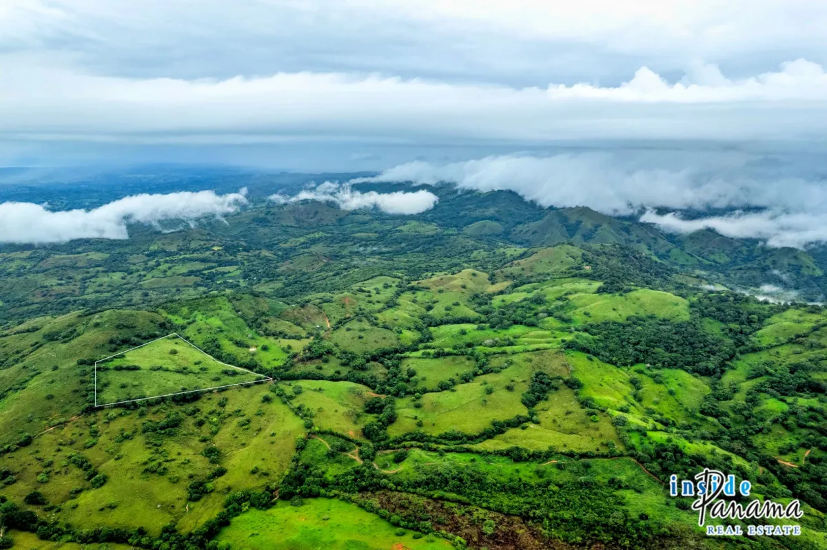 7 Ha Farm for sale  in Las Tablas Los Santos Panama