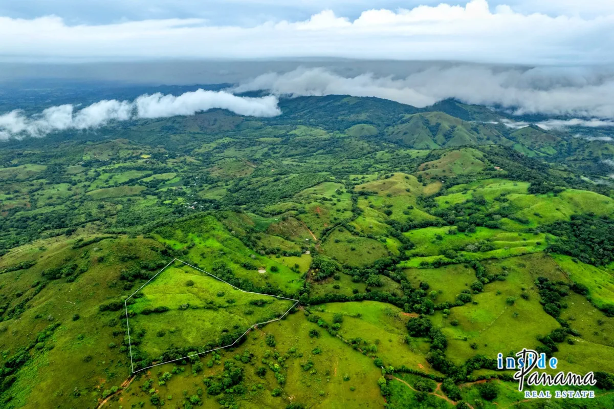 7 Ha Farm for sale  in Las Tablas Los Santos Panama