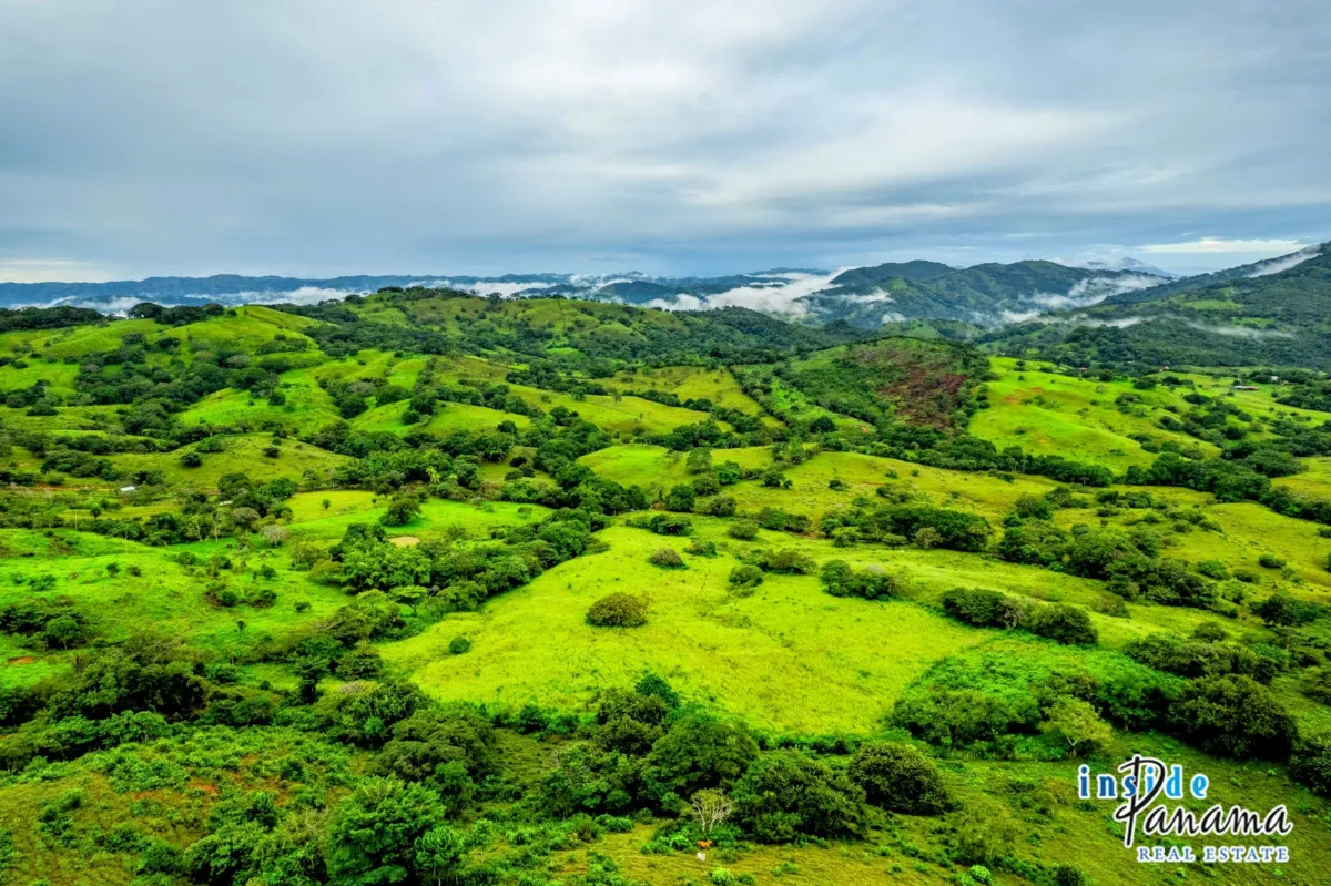 7 Ha Farm for sale  in Las Tablas Los Santos Panama