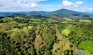 29 Ha Farm for sale  in Palmira Las Tablas Los Santos Panama