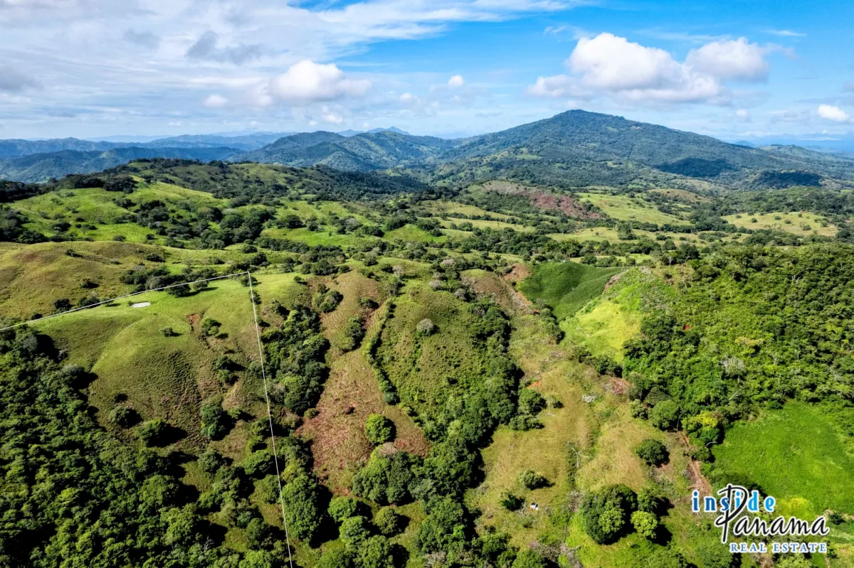 29 Ha Farm for sale  in Palmira Las Tablas Los Santos Panama
