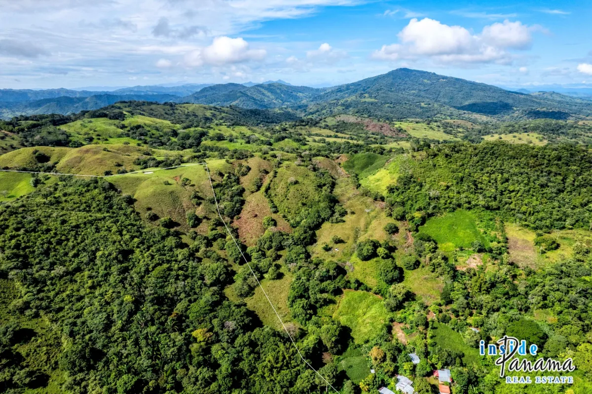 29 Ha Farm for sale  in Palmira Las Tablas Los Santos Panama