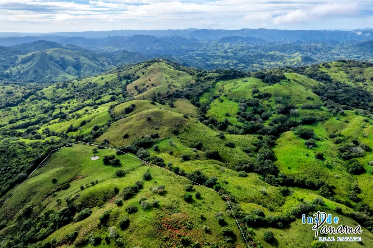 29 Ha Farm for sale  in Palmira Las Tablas Los Santos Panama