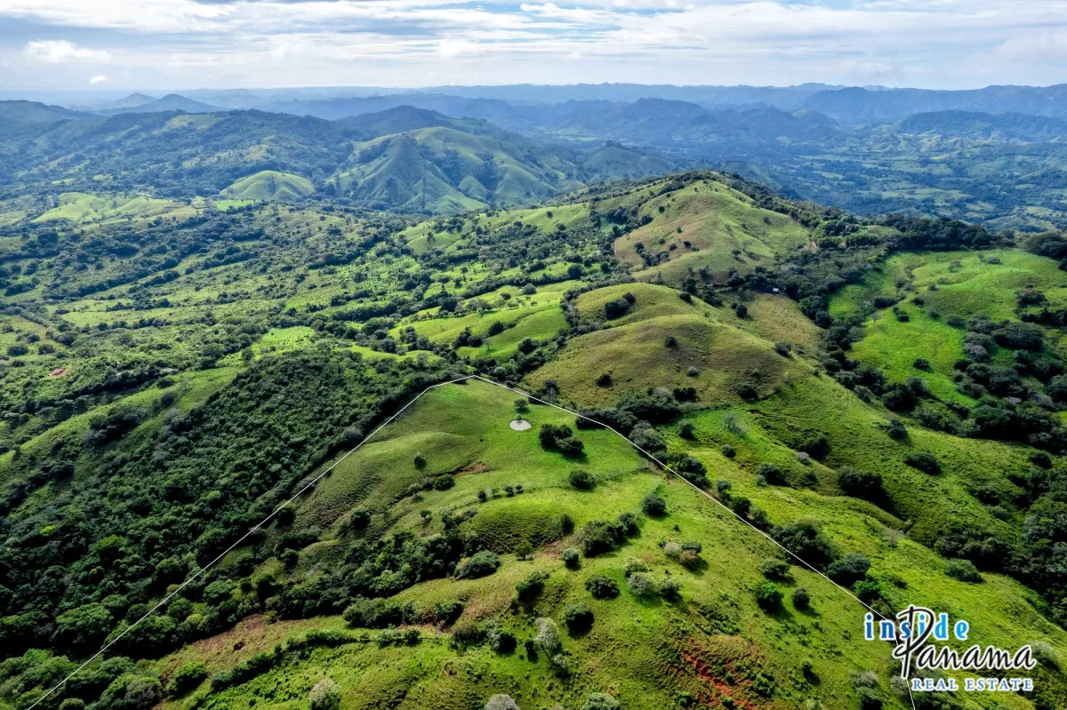 29 Ha Farm for sale  in Palmira Las Tablas Los Santos Panama