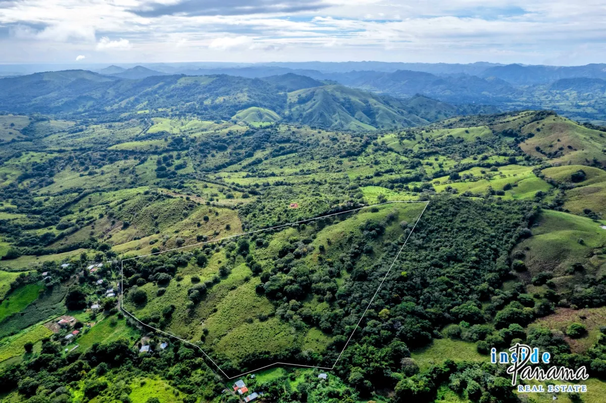 29 Ha Farm for sale  in Palmira Las Tablas Los Santos Panama