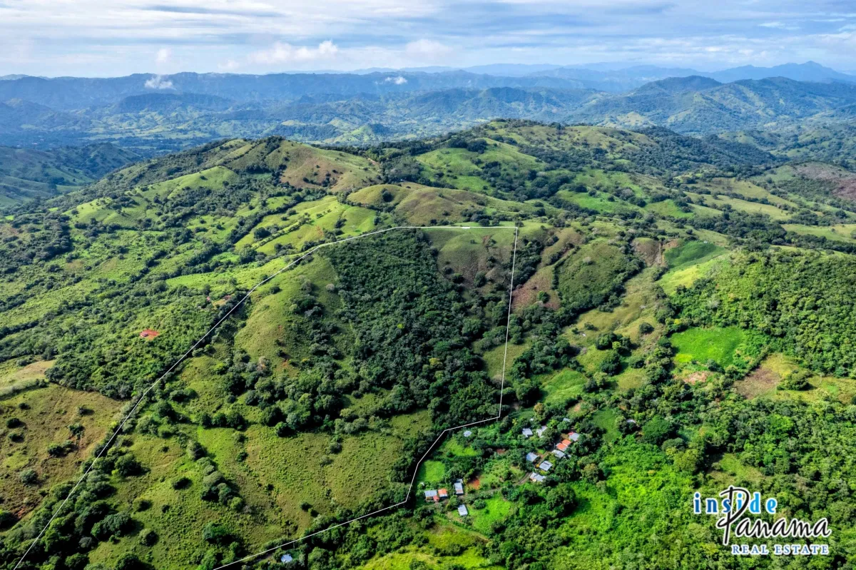 29 Ha Farm for sale  in Palmira Las Tablas Los Santos Panama