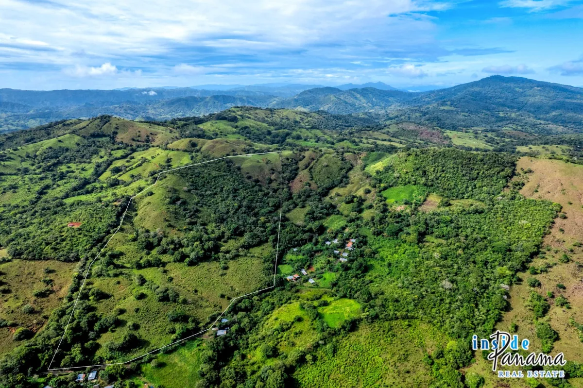 29 Ha Farm for sale  in Palmira Las Tablas Los Santos Panama