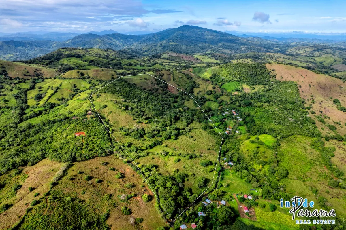29 Ha Farm for sale  in Palmira Las Tablas Los Santos Panama