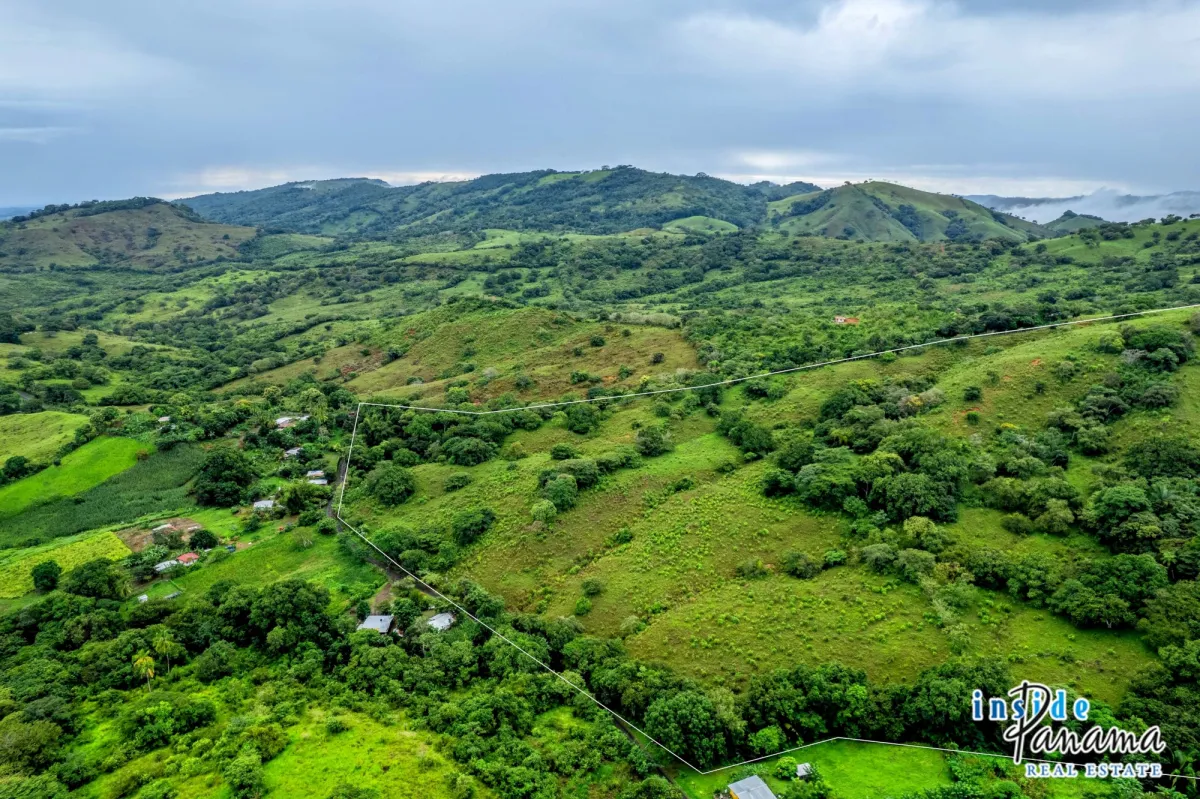 29 Ha Farm for sale  in Palmira Las Tablas Los Santos Panama