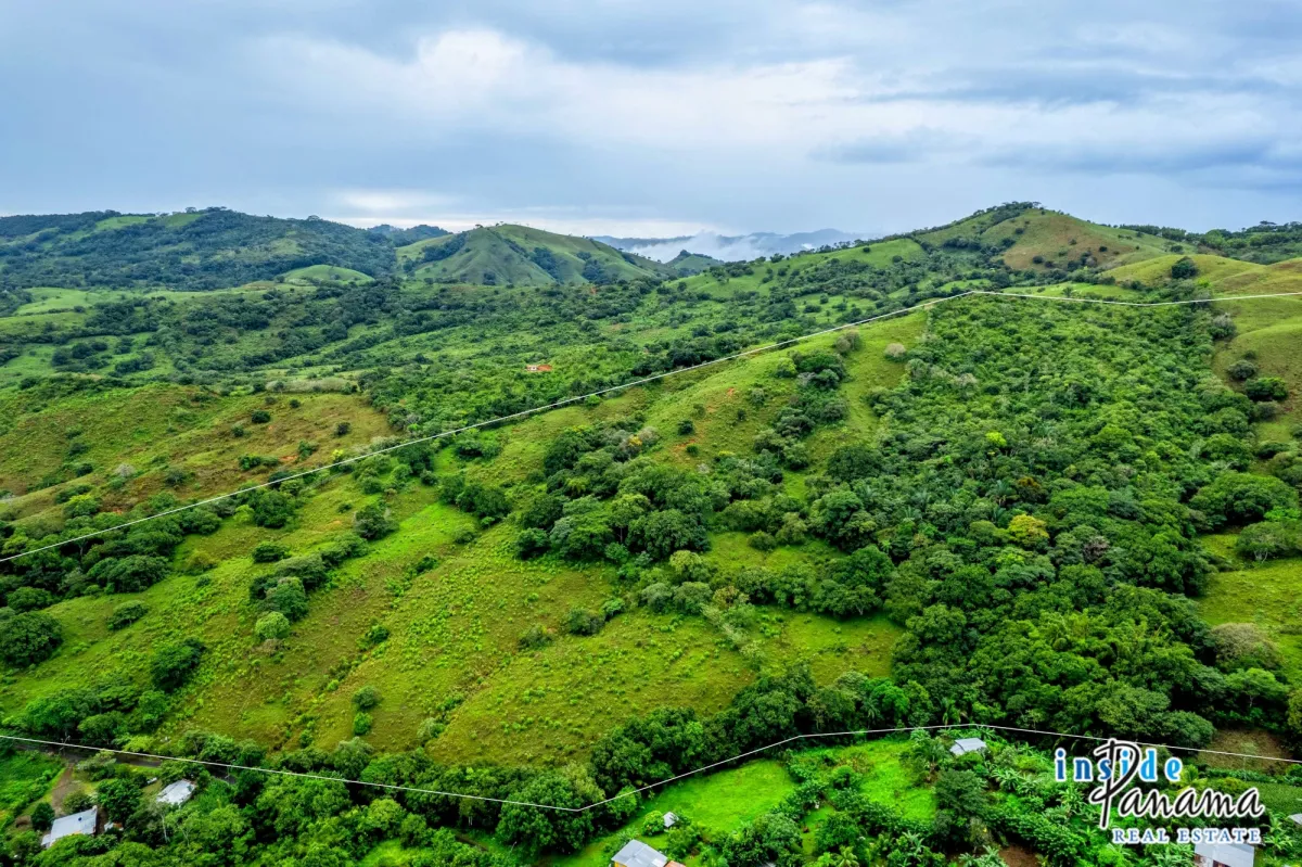 29 Ha Farm for sale  in Palmira Las Tablas Los Santos Panama