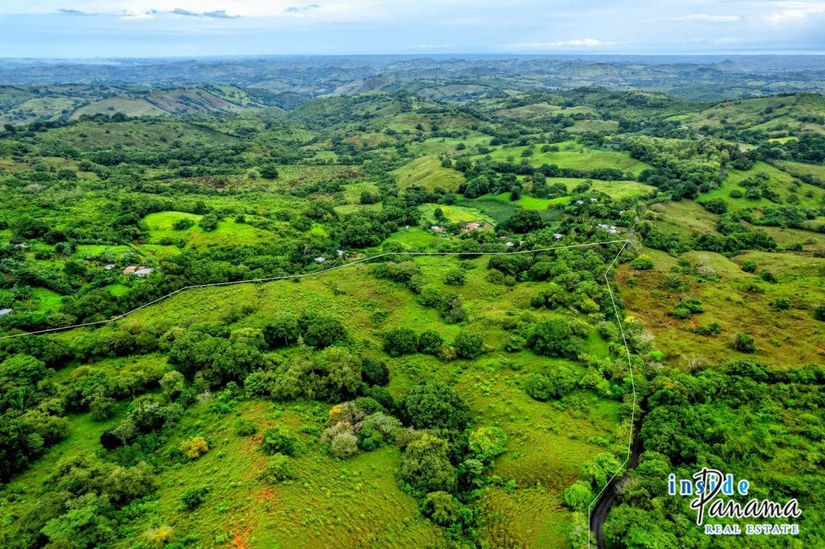 29 Ha Farm for sale  in Palmira Las Tablas Los Santos Panama