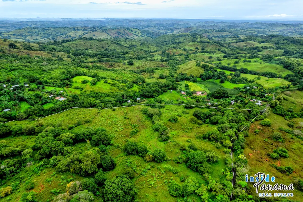 29 Ha Farm for sale  in Palmira Las Tablas Los Santos Panama