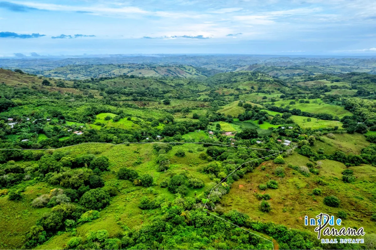 29 Ha Farm for sale  in Palmira Las Tablas Los Santos Panama