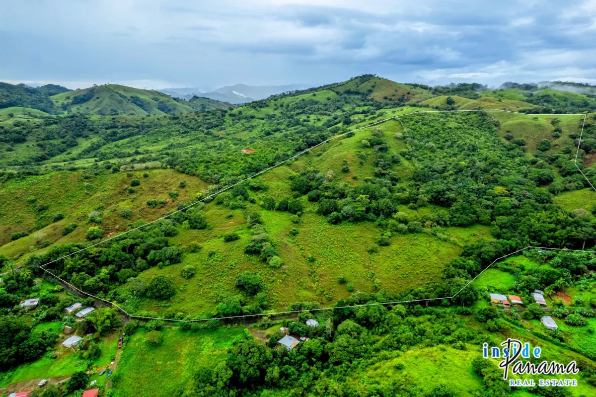 29 Ha Farm for sale  in Palmira Las Tablas Los Santos Panama