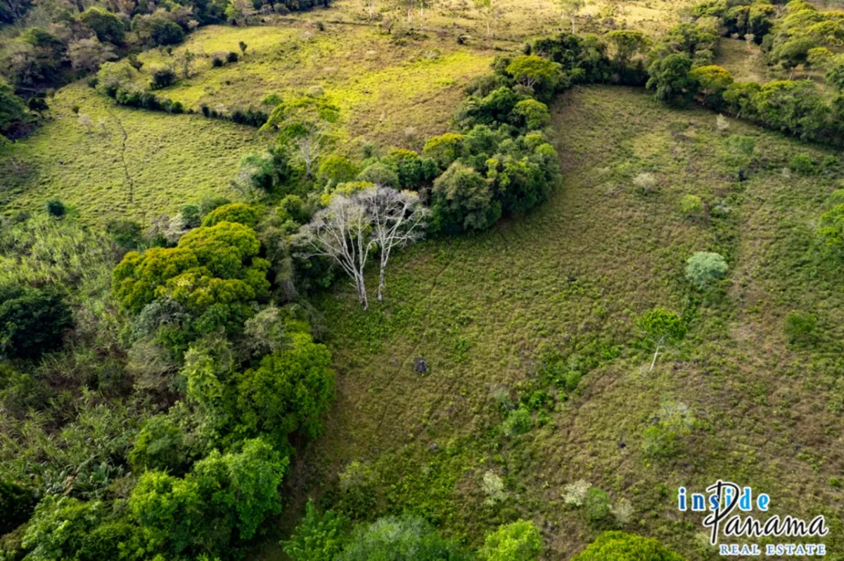Ocean View Acreage with Private Creek in Boqueron Chiriqui Panama