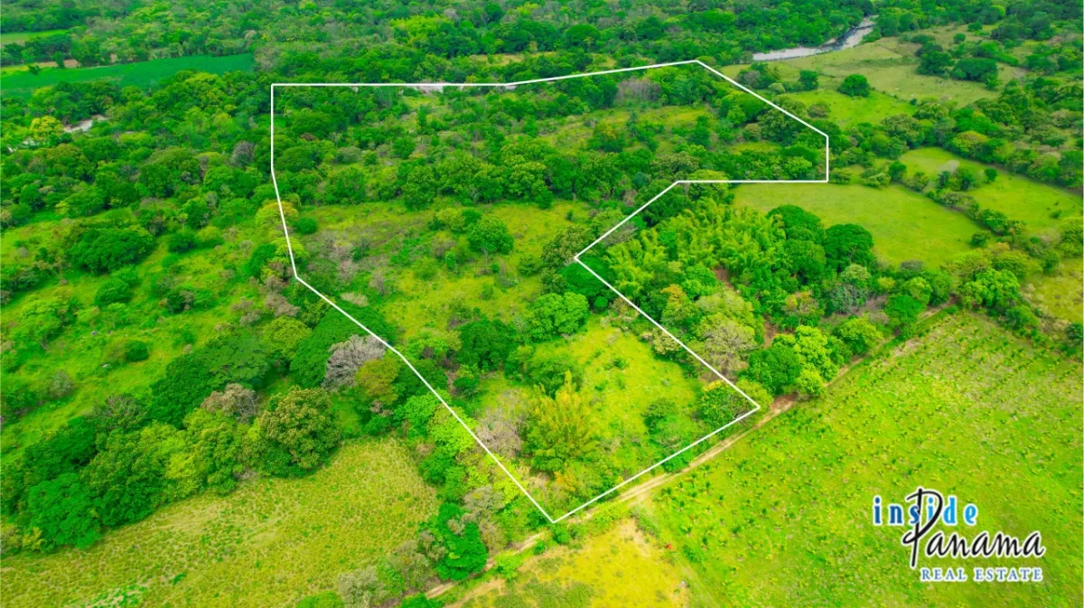 Fertile 8 Hectares with River Access Near Boquete and David