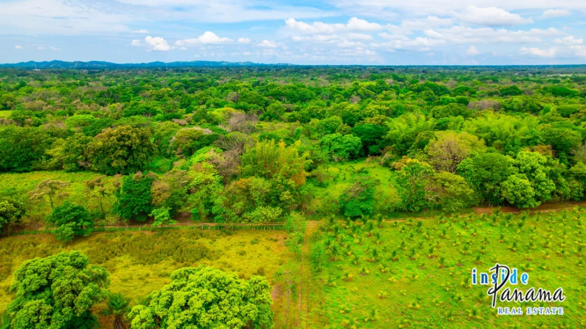 Fertile 8 Hectares with River Access Near Boquete and David