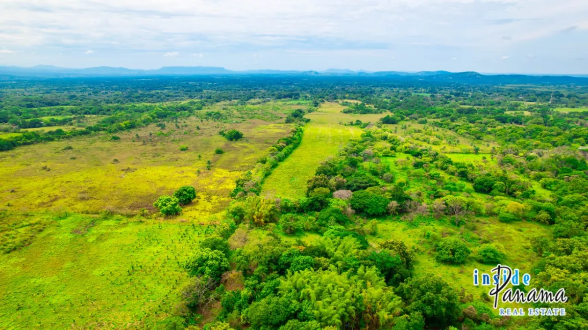 Fertile 8 Hectares with River Access Near Boquete and David