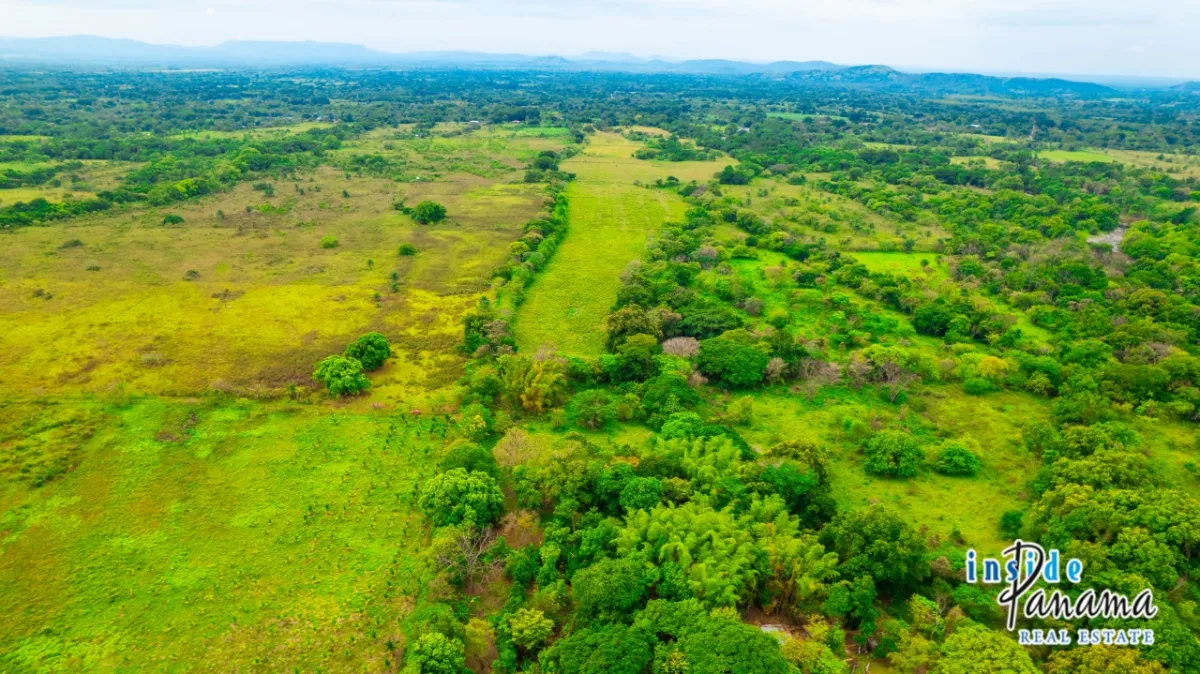 Fertile 8 Hectares with River Access Near Boquete and David