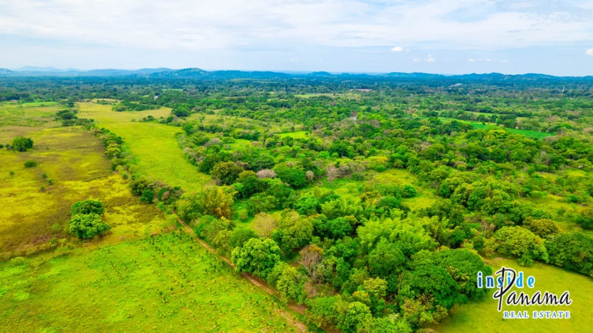 Fertile 8 Hectares with River Access Near Boquete and David