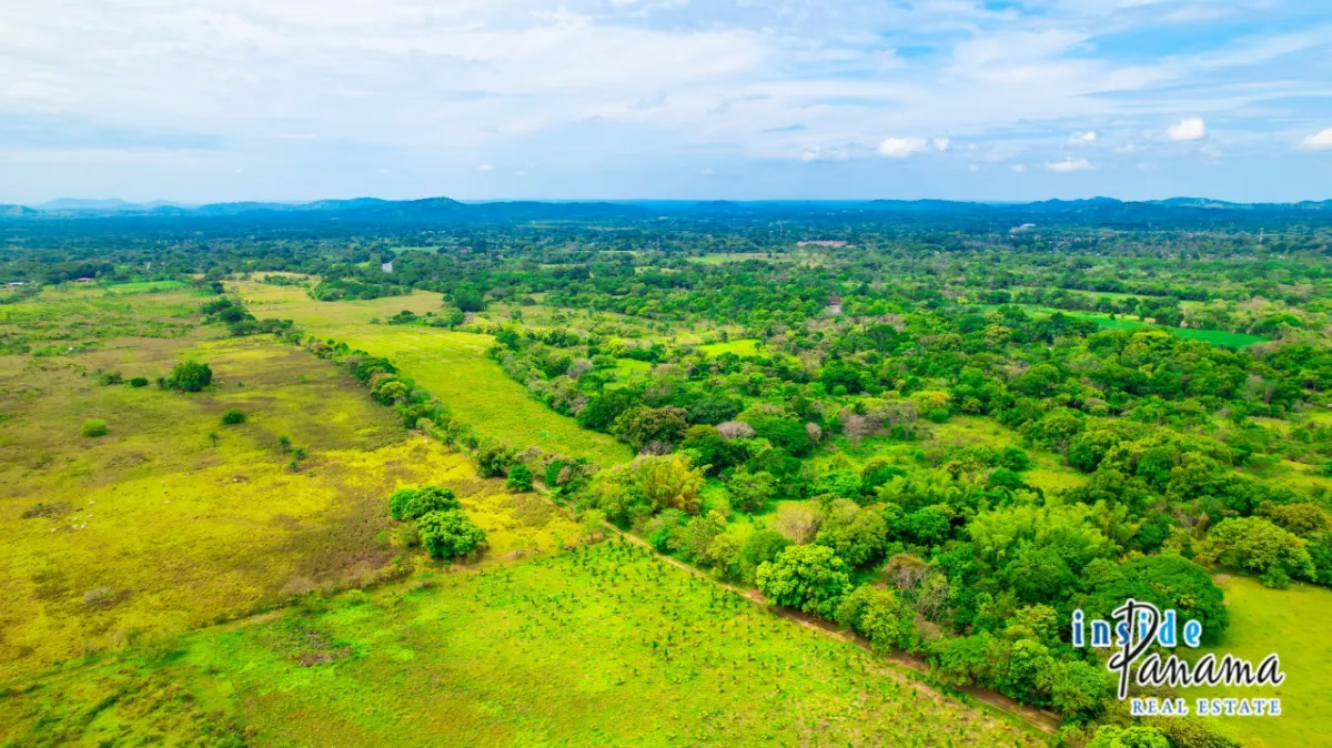 Fertile 8 Hectares with River Access Near Boquete and David