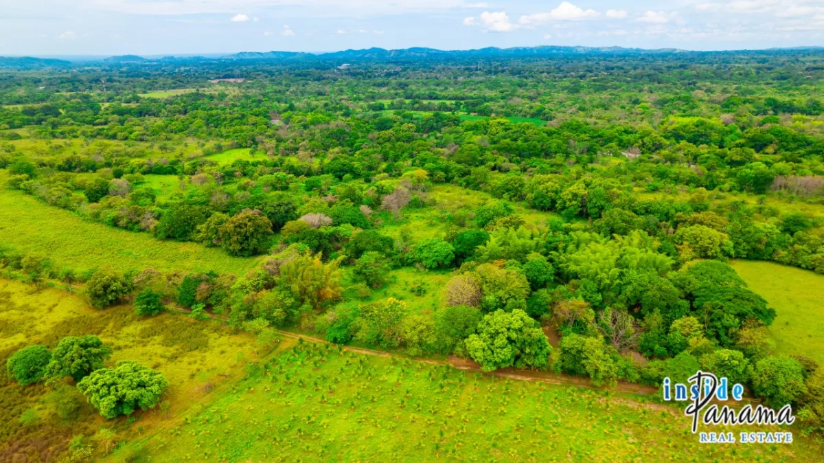 Fertile 8 Hectares with River Access Near Boquete and David