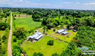 Country Home with Acreage and Fruit Trees in Bugaba Chiriqui
