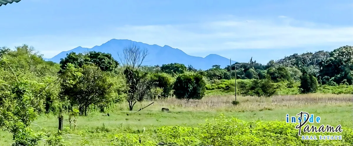 Country Home with Acreage and Fruit Trees in Bugaba Chiriqui