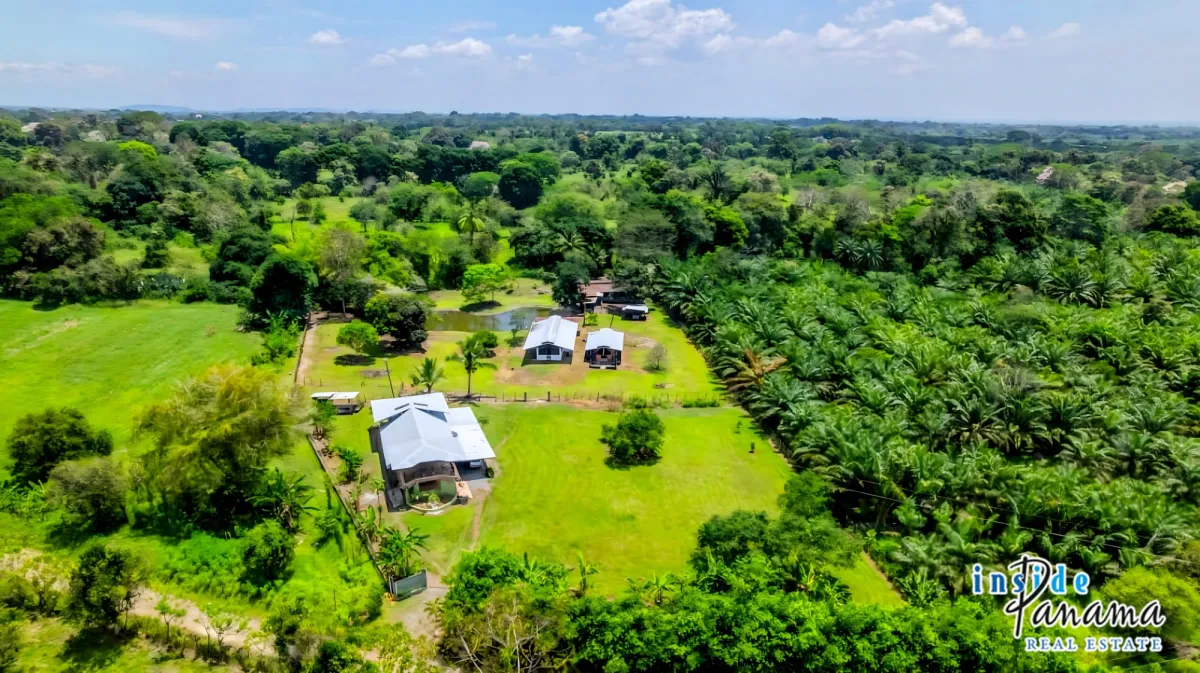 Country Home with Acreage and Fruit Trees in Bugaba Chiriqui