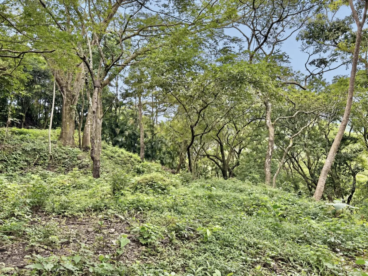 Elevated Corner Lot in Valle de la Toscana, Altos del María