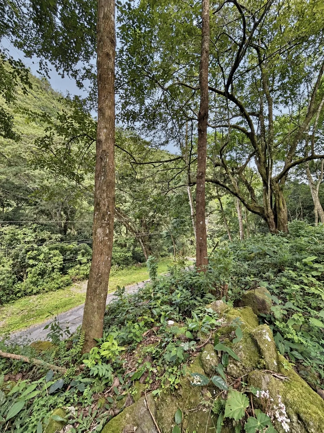 Elevated Corner Lot in Valle de la Toscana, Altos del María