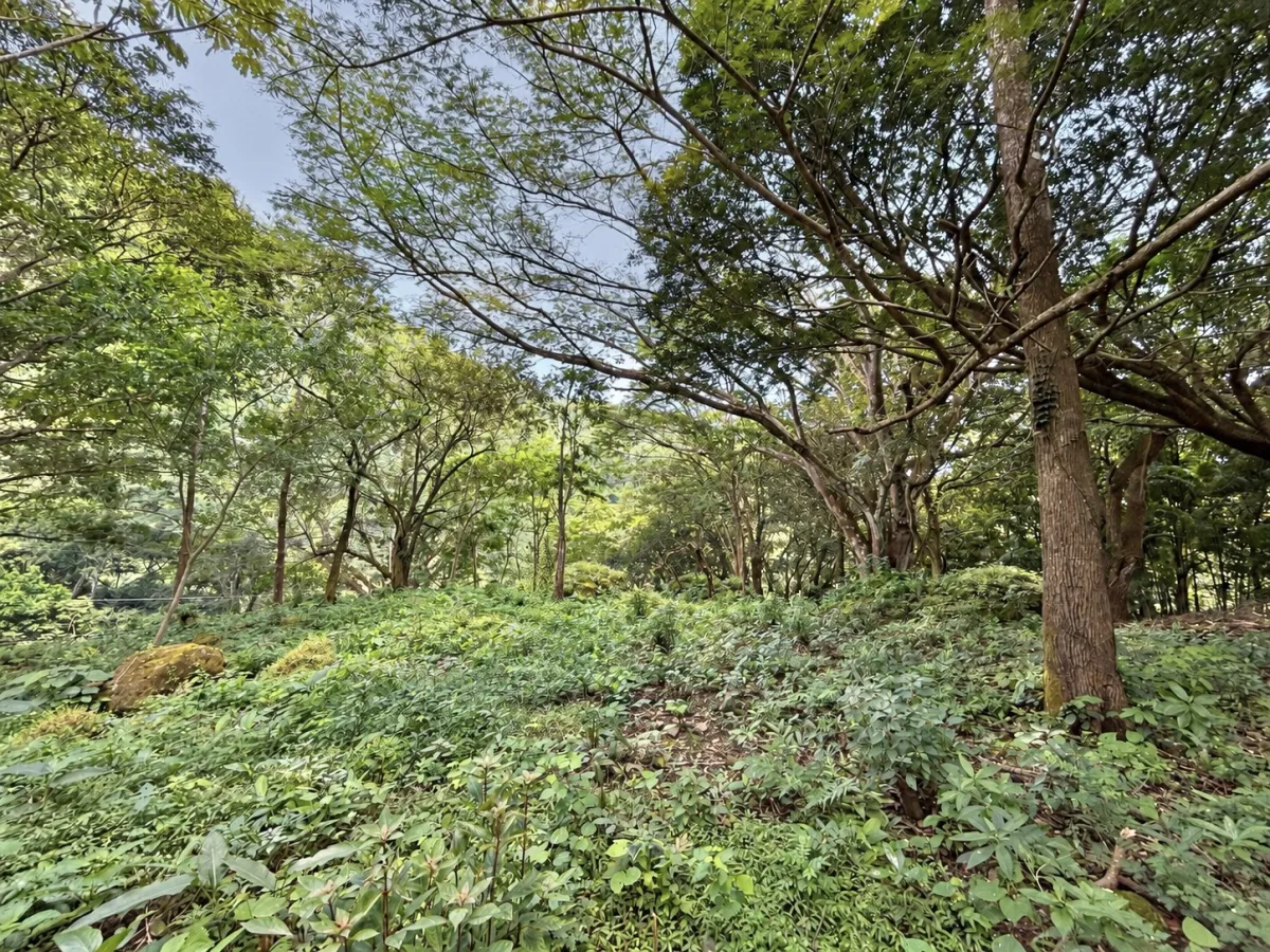 Elevated Corner Lot in Valle de la Toscana, Altos del María