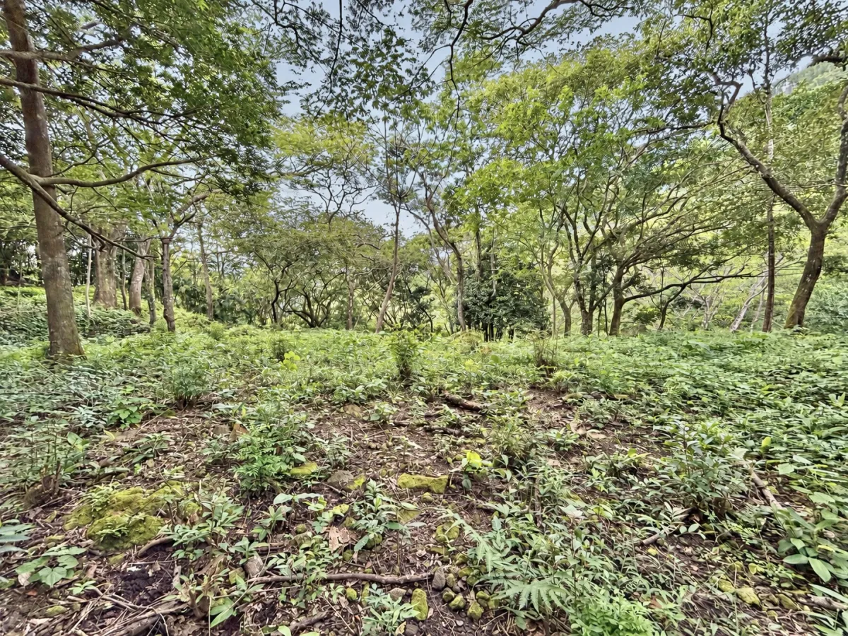 Elevated Corner Lot in Valle de la Toscana, Altos del María