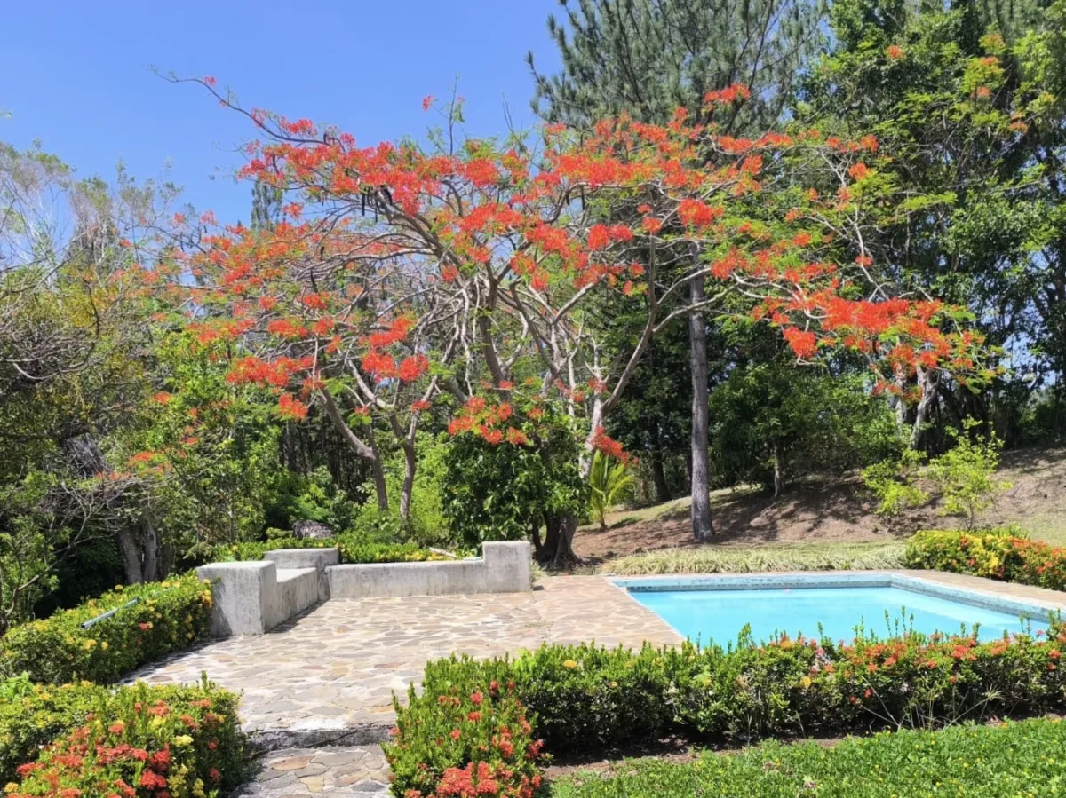 Hacienda en 10.17 Hectáreas – Sorá, Panamá