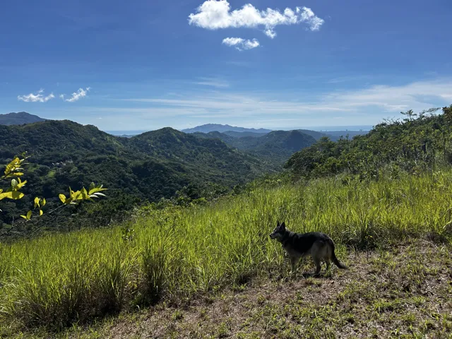 Hacienda en 10.17 Hectáreas – Sorá, Panamá