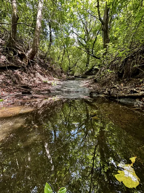 Hacienda en 10.17 Hectáreas – Sorá, Panamá