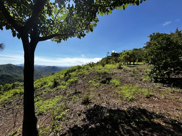 Hacienda en 10.17 Hectáreas – Sorá, Panamá